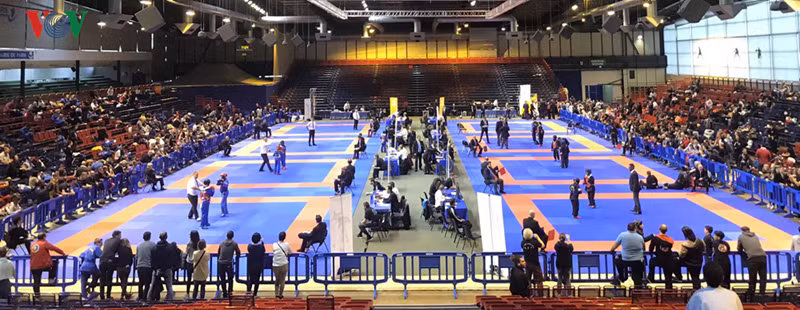 Promueven en Francia arte marcial vietnamita Vovinam ảnh 1