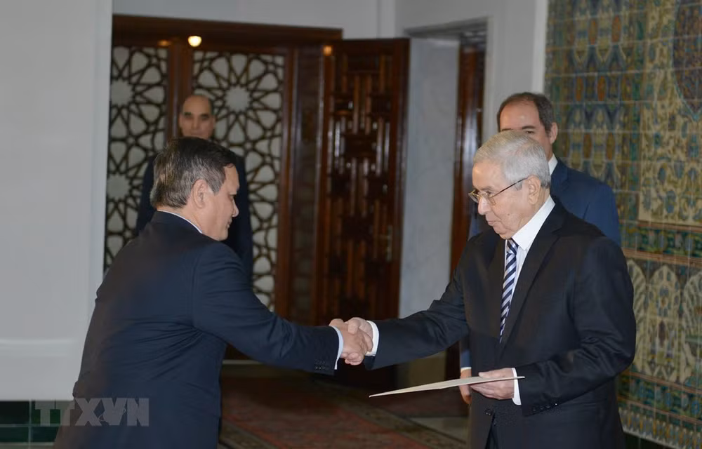 Favorece presidente de Argelia ampliación de las relaciones entre su país y Vietnam ảnh 1
