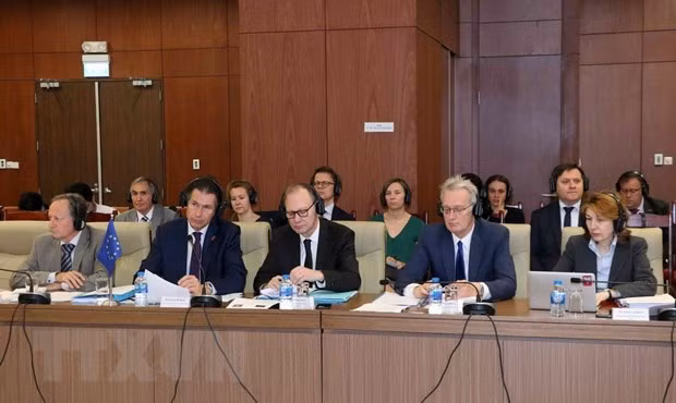 Profundizan cooperación entre Vietnam y la Unión Europea ảnh 1