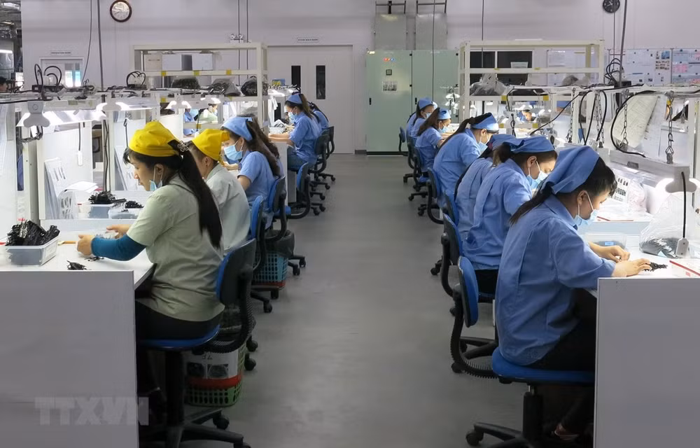 Pronostican que crecimiento económico de Vietnam oscilará entre 6,5 y 6,8 por ciento en 2019 ảnh 1