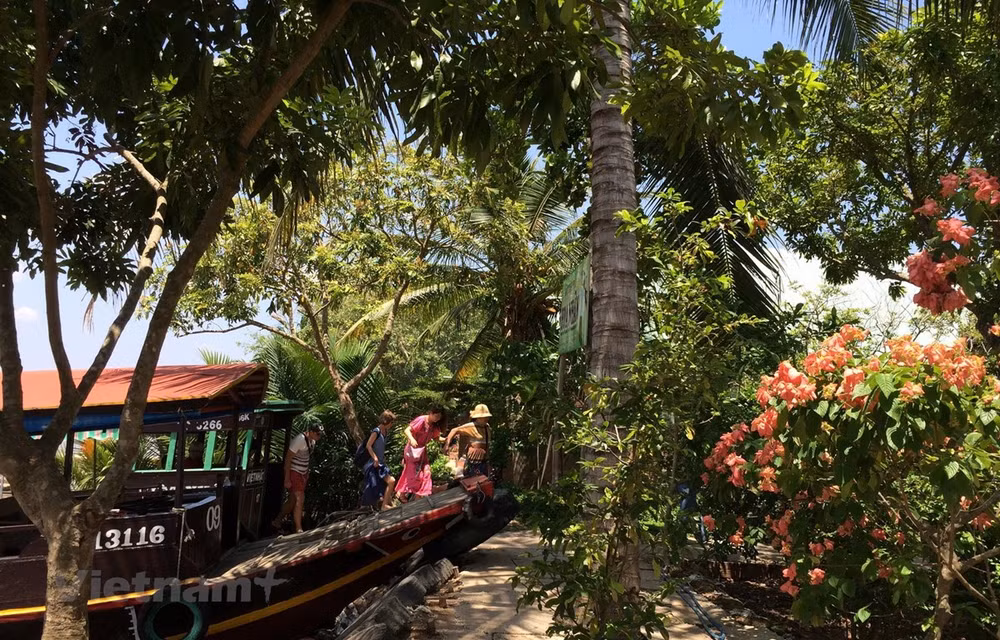 Promocionarán turismo de Vietnam en TikTok, plataforma líder de videos en el mundo ảnh 1