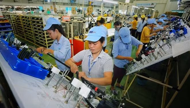 Soluciones para mejorar recursos humanos de semiconductores de Vietnam ảnh 1