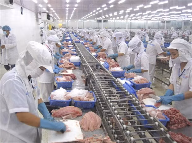 Impulsan promoción de exportaciones agrícolas de Vietnam ảnh 1