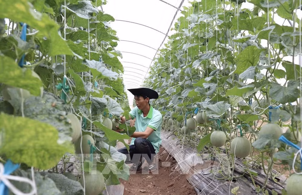 Vietnam trabaja por impulsar economía circular ảnh 2