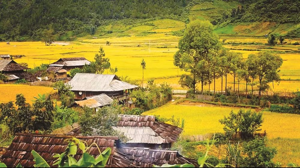 Apoyan a minorías étnicas en Vietnam en construcción de viviendas ảnh 1