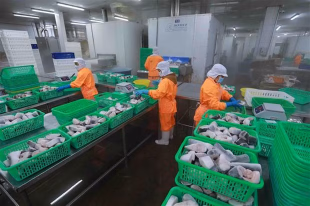 Economía vietnamita se prepara ante inestabilidad geopolítica internacional ảnh 2