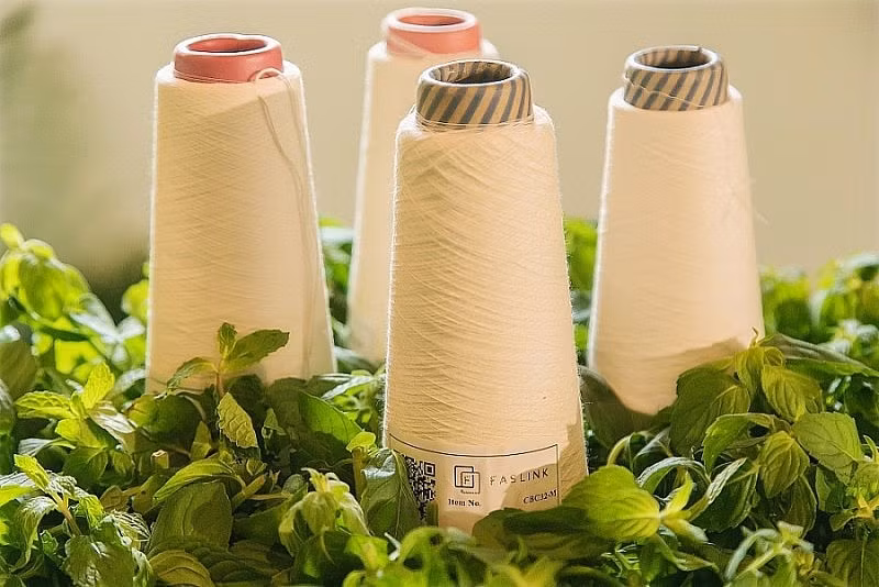 Impulsan transformación digital en sector textil de Vietnam ảnh 2