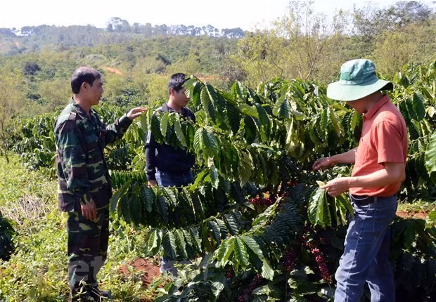 Mejoran vida de hogares pobres en zonas de minorías étnicas en Vietnam ảnh 2