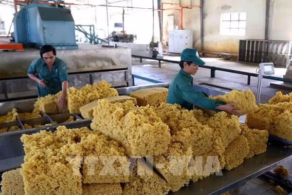 Elevan competitividad de caucho vietnamita en mercado internacional ảnh 2