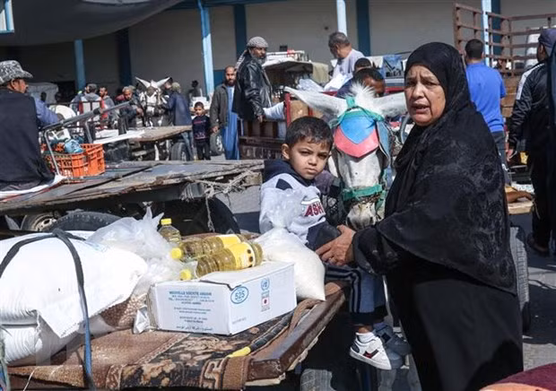 Vietnam pide apoyo internacional a los palestinos para superar la crisis ảnh 1