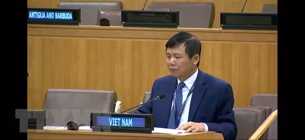Vietnam llama a la cooperación internacional para promover la universalización de las vacunas contra el COVID-19 ảnh 1