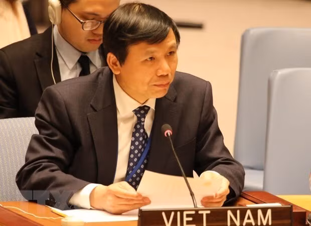  Vietnam preocupado por la situación en los Altos del Golán ảnh 1