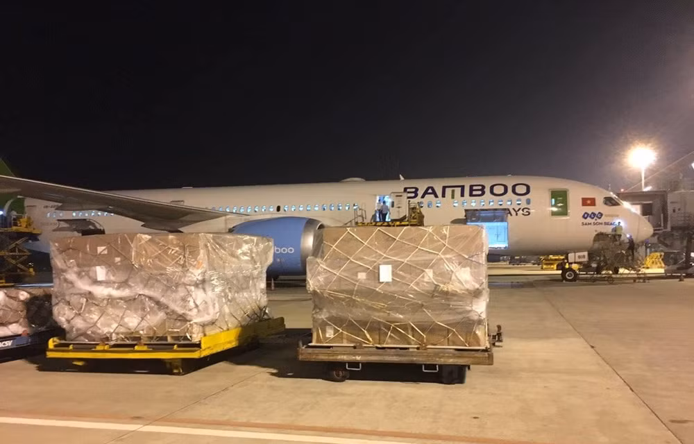 Bamboo Airways transporta gratuitamente artículos de ayuda a zonas afectadas por inundaciones ảnh 1