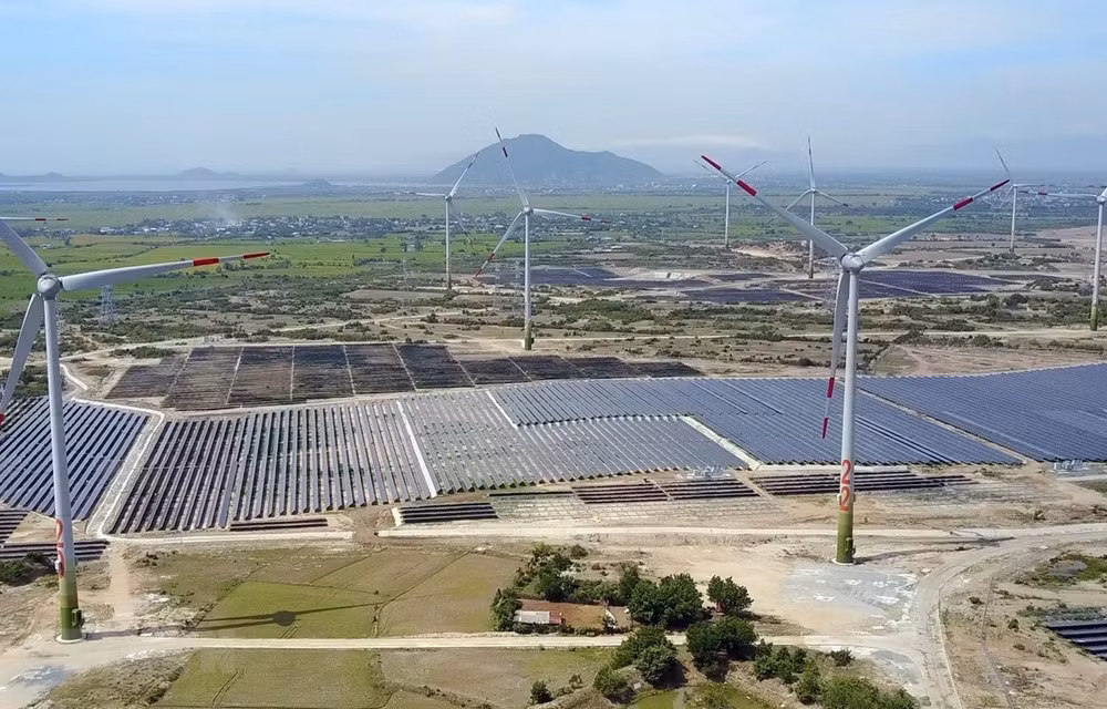 Provincia vietnamita de Ninh Thuan por convertirse en centro de energía renovable ảnh 1