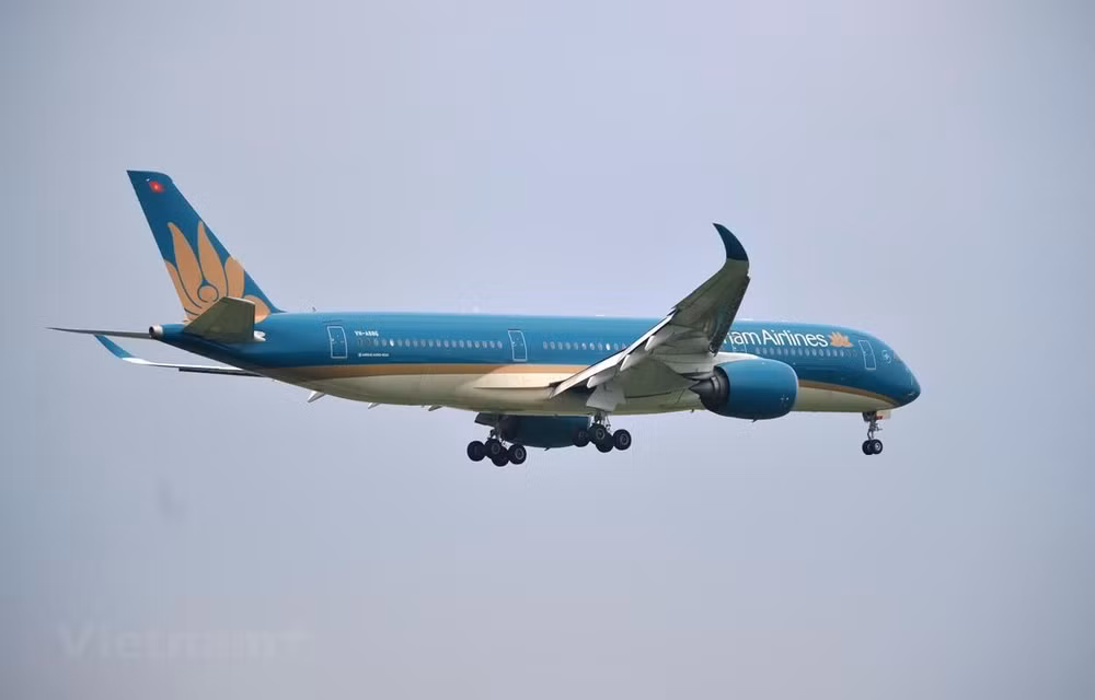 Vietnam Airlines ajusta horarios de vuelos por el tifón Molave ảnh 1