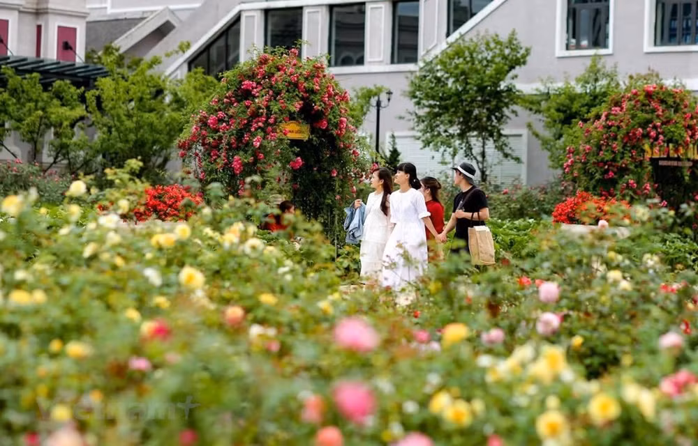 Encuesta muestra perspectivas favorables del turismo nacional de Vietnam ảnh 1