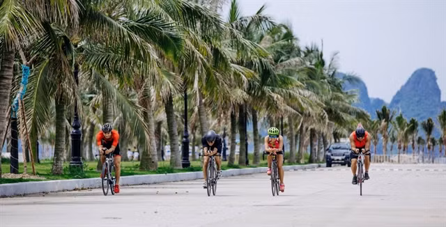 Atletas competirán en torneo de Triatlón Tuan Chau Sunset Bay en agosto en Vietnam ảnh 1