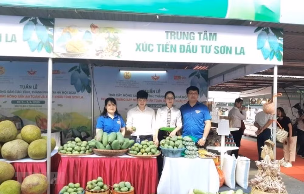 Estimulan en Hanoi consumo doméstico de productos agrícolas y frutales ảnh 1