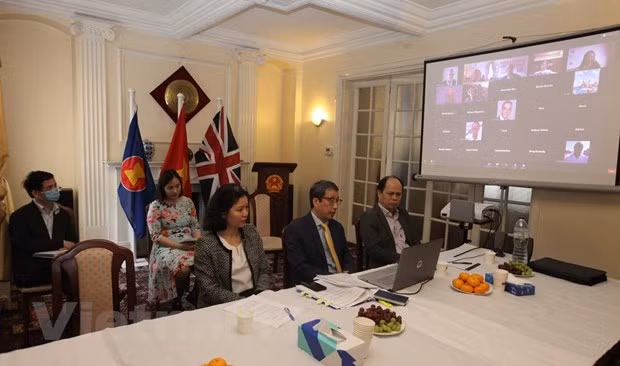 Organización británica explora oportunidad de inversiones en Vietnam tras COVID-19 ảnh 1