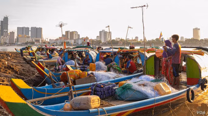 Reducción del nivel hídrico en Camboya afecta a población de peces ảnh 1