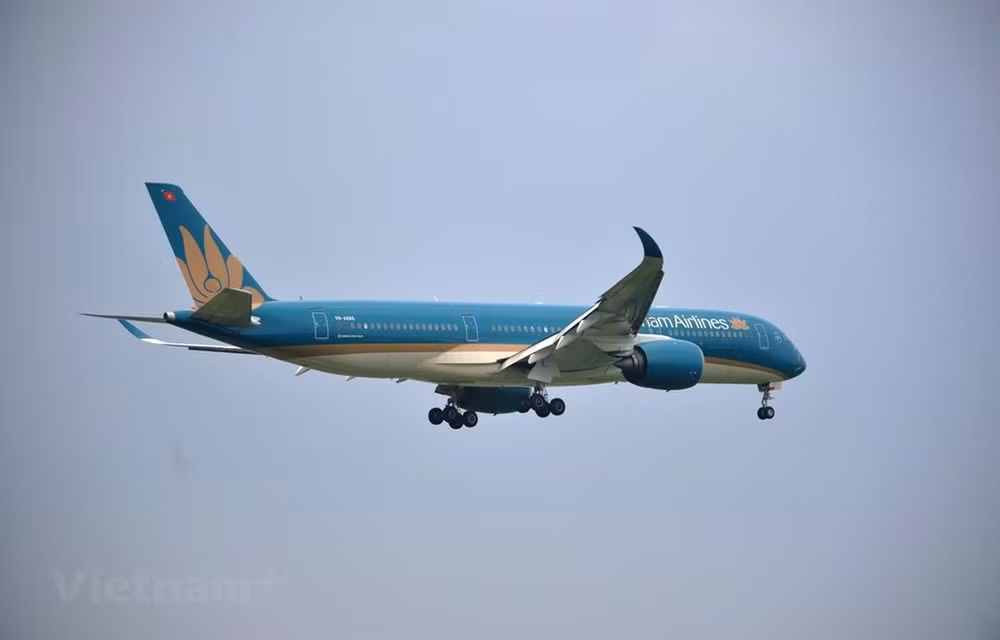 Vietnam Airlines recupera por completo su mercado nacional ảnh 1