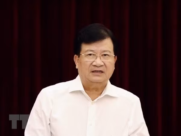 Asume el vicepremier Trinh Dinh Dung como presidente de la Comisión del Río Mekong de Vietnam ảnh 1