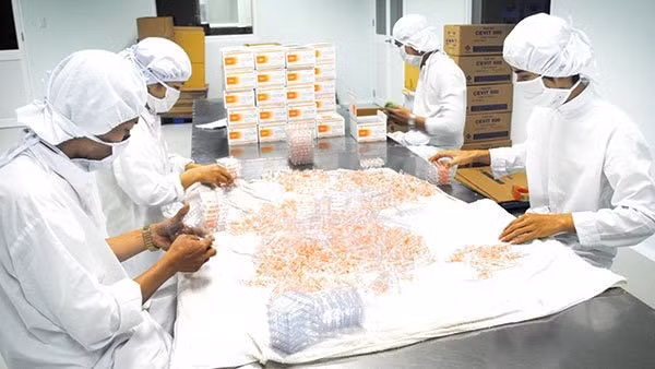 Aumentará el apoyo a la industria farmacéutica nacional en Vietnam ảnh 1