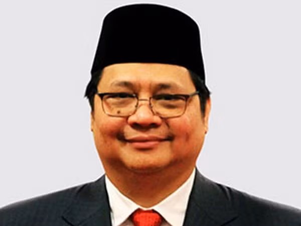 Economía digital de Indonesia reúne el potencial para alcanzar los 133 mil millones de dólares ảnh 1