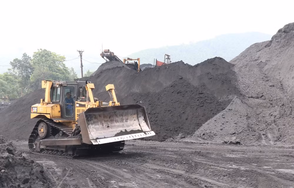 Producción de carbón de Indonesia prevé aumentar 11 por ciento en 2021 ảnh 1