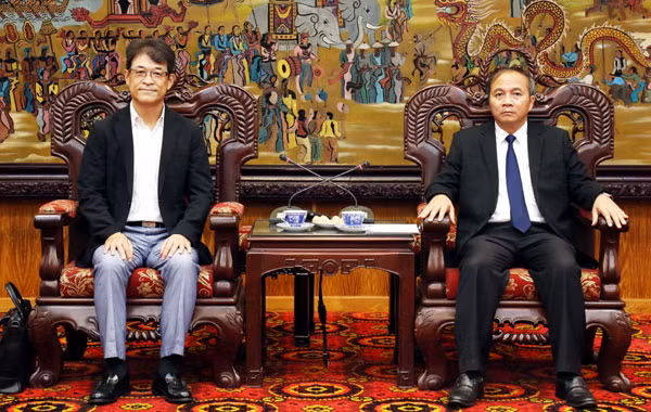Empresa japonesa planea invertir fondo millonario en provincia vietnamita de Vinh Phuc ảnh 1