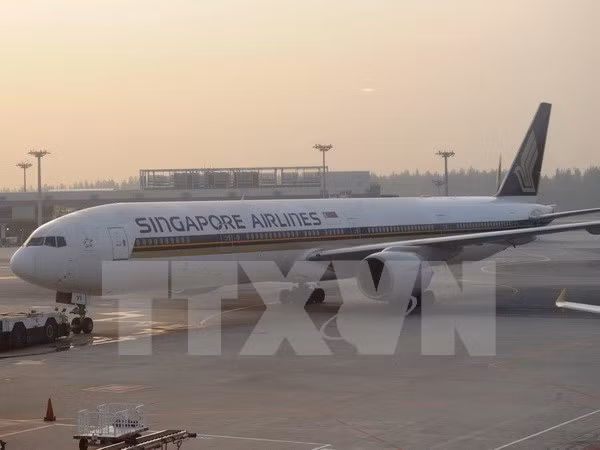 Singapore Airlines abandona el plan de “vuelos a ninguna parte” ảnh 1