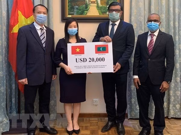 Vietnam brinda asistencia a Maldivas para luchar contra el COVID-19 ảnh 1