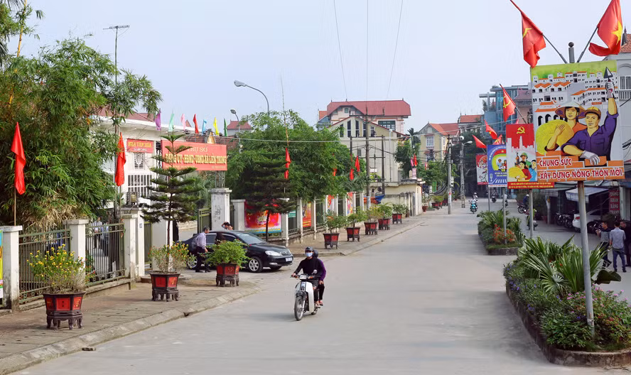 Hanoi moviliza con éxito 500 millones de dólares para la construcción de nuevas zonas rurales ảnh 1