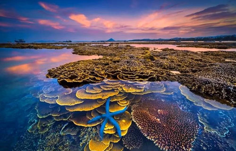 Entregan premios a obras destacadas en concurso sobre exploración de Vietnam ảnh 1