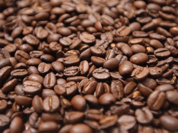 Indonesia ambiciona convertirse en segundo mayor productor de café en el mundo ảnh 1