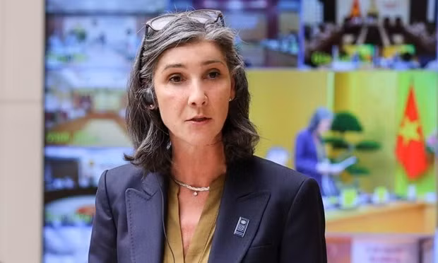 PNUD se compromete a apoyar a Vietnam en transformación de la energía verde ảnh 1