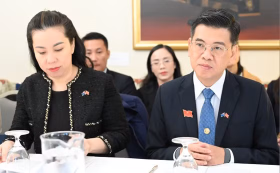 Delegación de Ciudad Ho Chi Minh visita Australia y Nueva Zelanda ảnh 1