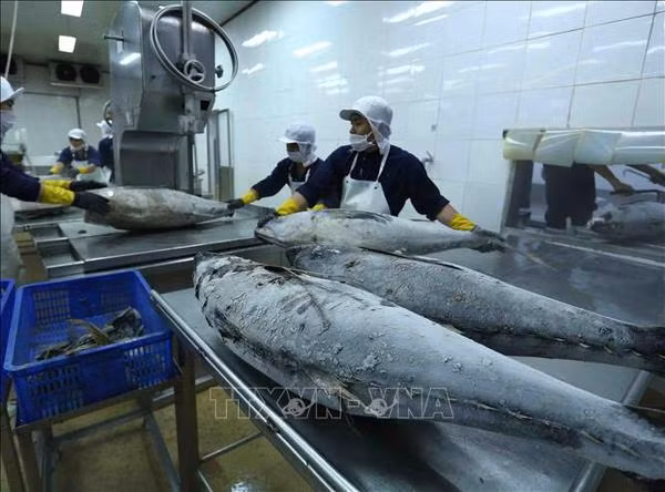 Exportación de productos acuáticos de Vietnam registra señales positivas ảnh 2