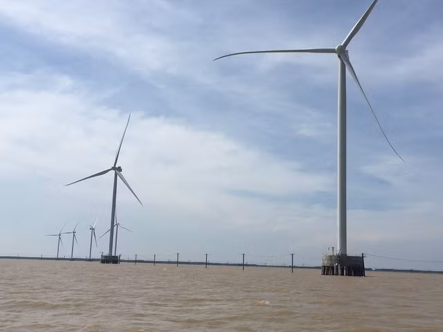 Ben Tre aspira a convertirse en líder de economía marina del Delta del Mekong ảnh 1
