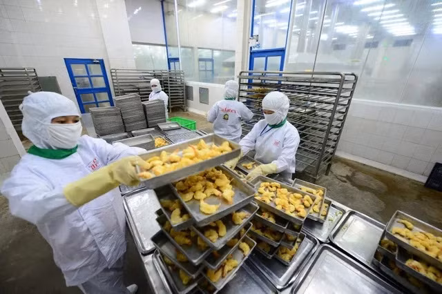 Vietnam podría ingresar unos 9,2 mil millones de USD por ventas de productos acuícolas ảnh 1