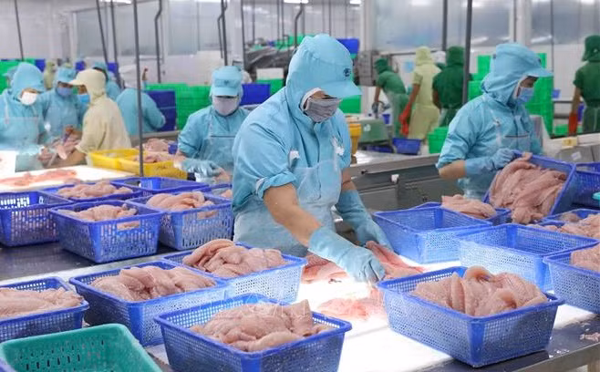 Vietnam podría ingresar unos 9,2 mil millones de USD por ventas de productos acuícolas ảnh 2