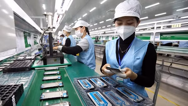 Empresas francesas muestran interés por entorno de inversión de Vietnam ảnh 1