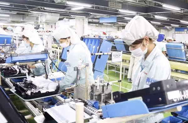 Visita a Vietnam de premier holandés llevará nexos bilaterales a nueva altura ảnh 2
