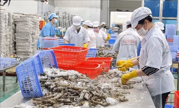 Exportaciones acuícolas de Vietnam apuntan a 11 mil millones de dólares en 2022 ảnh 1