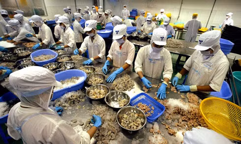 Promueven intercambio comercial entre Vietnam y Sudáfrica ảnh 1