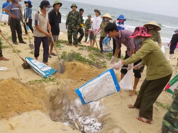Protección del entorno de vida y salud del pueblo es objetivo principal de Vietnam ảnh 1