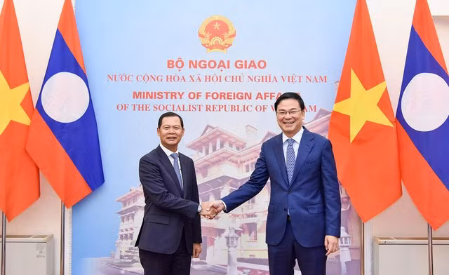 Efectúan séptima consulta política Vietnam-Laos ảnh 1