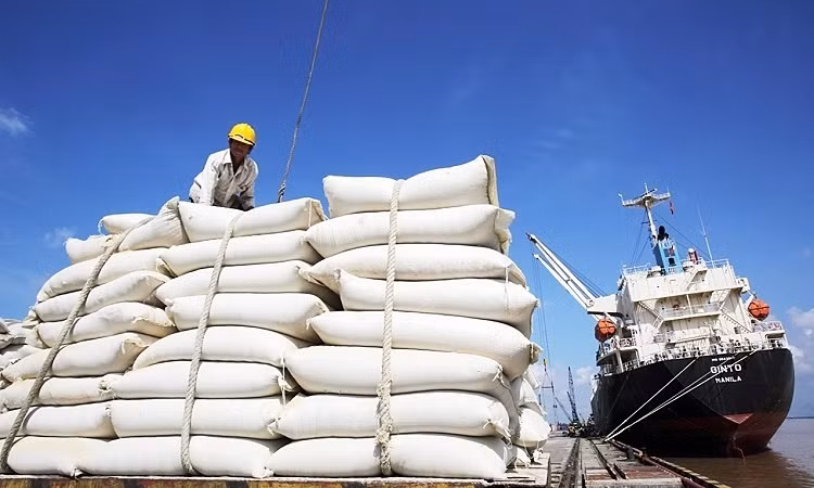 Consolida Filipinas papel como mayor importador de arroz vietnamita ảnh 1