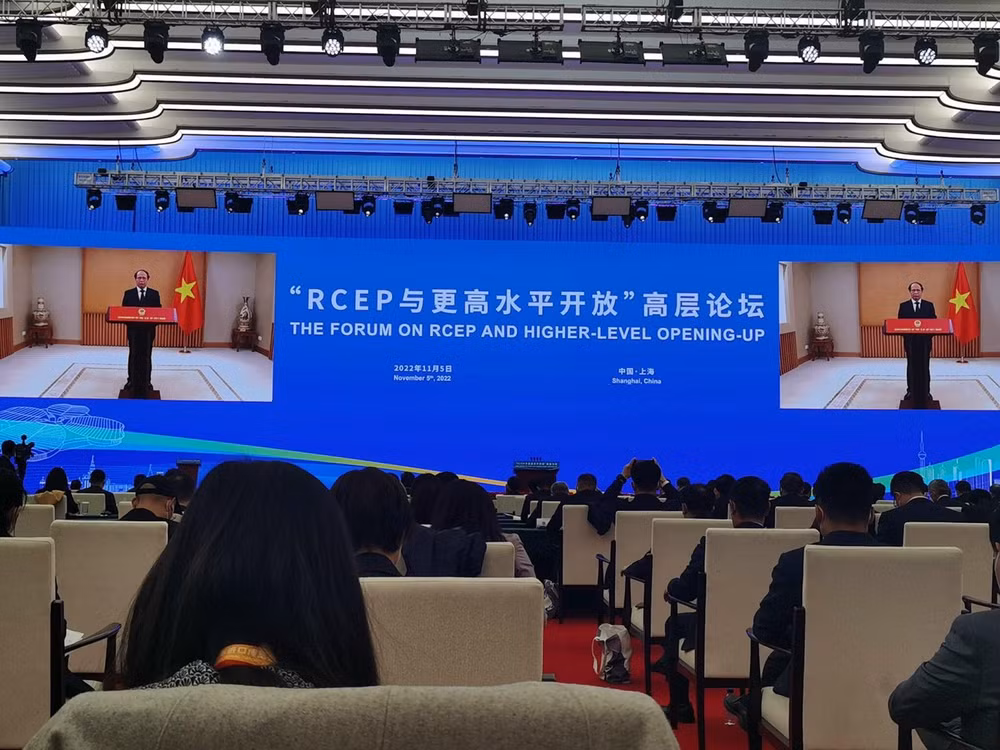 Vicepremier vietnamita asiste al foro “RCEP impulsa la apertura de alto nivel” en China ảnh 2