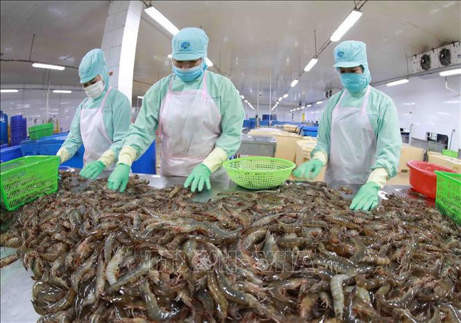 Primer ministro de Vietnam exige reforzar lucha contra la pesca ilegal – Vietnam+ (VietnamPlus)